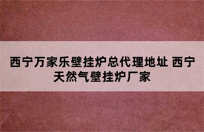 西宁万家乐壁挂炉总代理地址 西宁天然气壁挂炉厂家